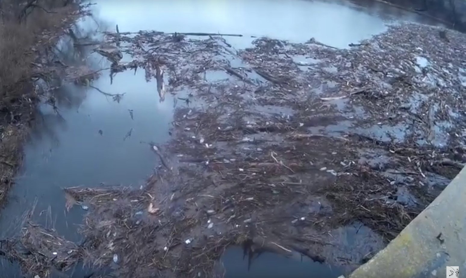 На полтавской реке - огромный затор из деревьев (видео)