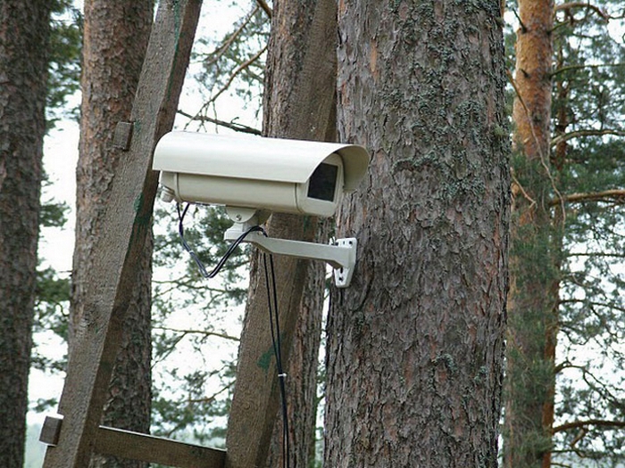 На Полтавщине установили видеонаблюдение в лесах