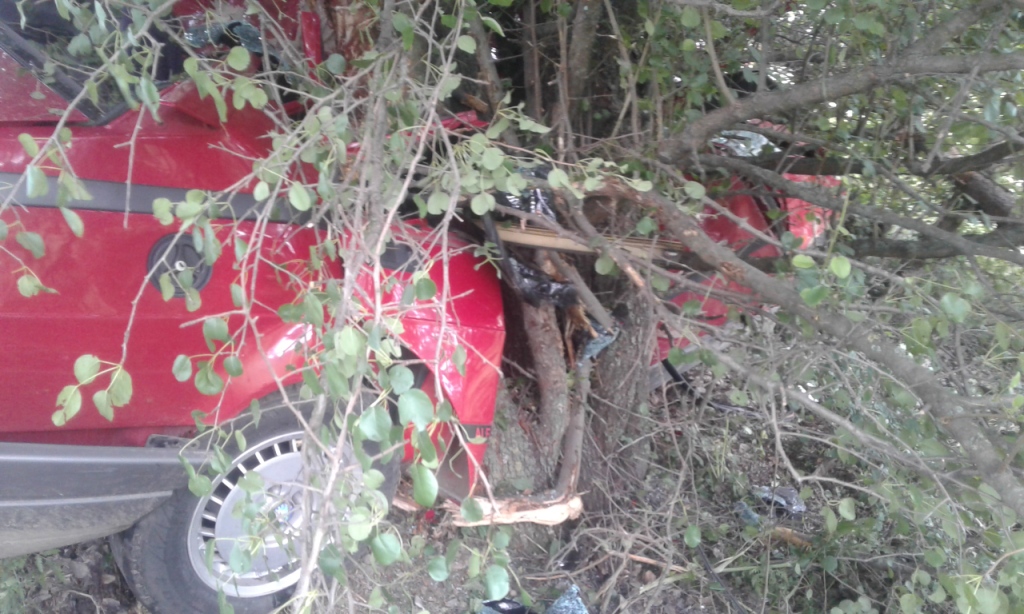 На Полтавщине Alfa Romeo влетел в дерево (фото)