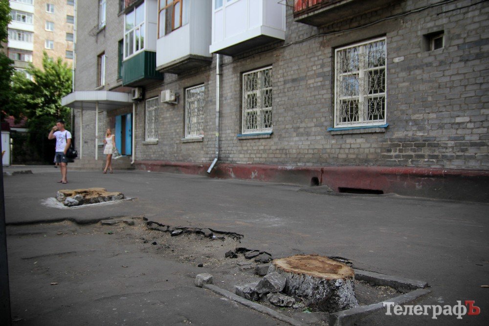 В центре Кременчуга вырубили деревья