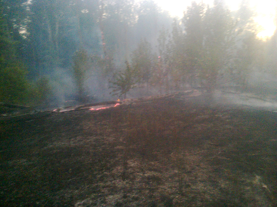 На Полтавщине произошло три пожара на открытой территории