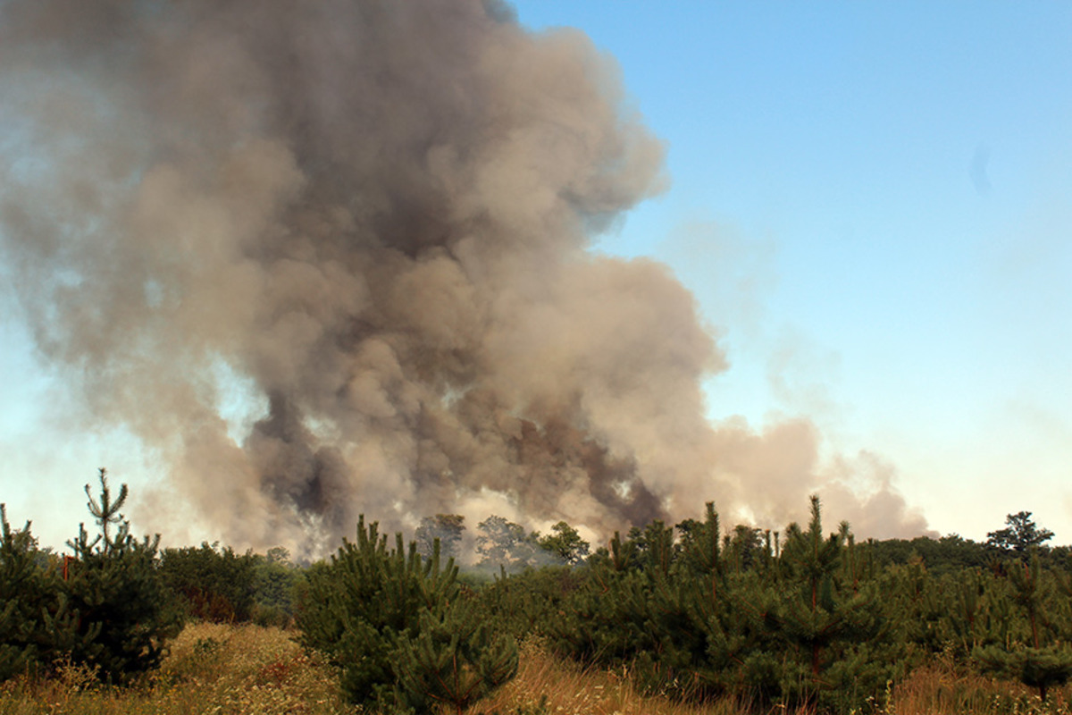 На Полтавщине авиация и поезд тушили лесной пожар (фото)