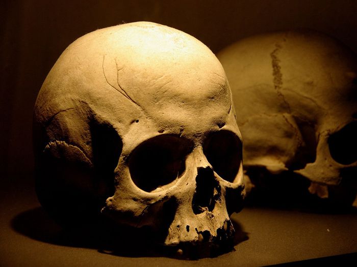 На Полтавщине нашли человеческий череп