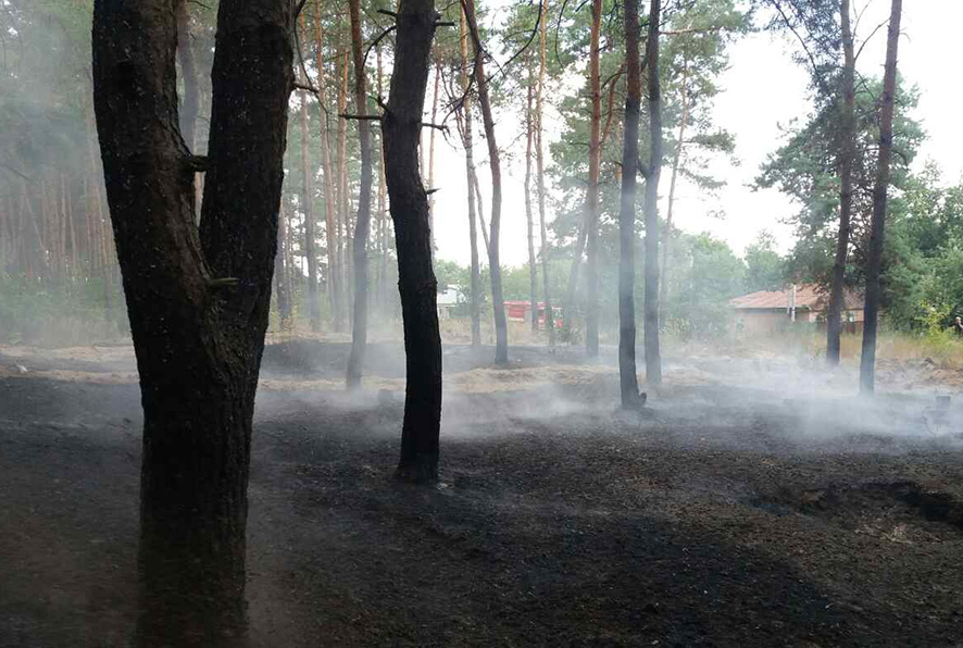На Полтавщине горят леса (фото)