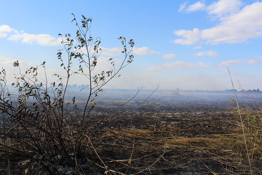 Пятый день на Полтавщине тушат торфяной пожар (фото)