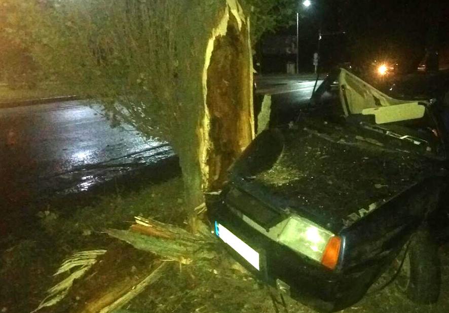 Под Полтавой машина влетела в дерево (фото)