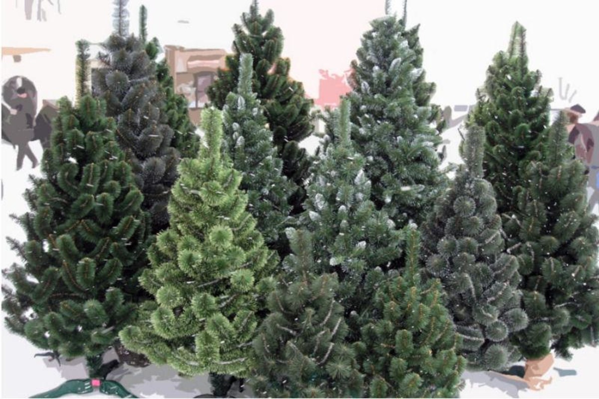 На Полтавщине уже продали больше 16 тысяч елок