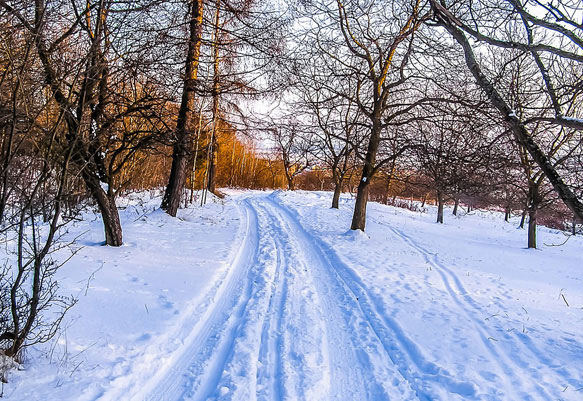 Миргородцы могут жаловаться на качество уборки снега в горсовет