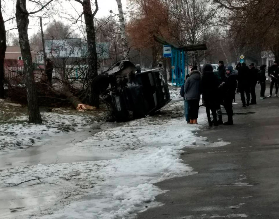 На Полтавщине автомобиль влетел в дерево и перевернулся (фото)