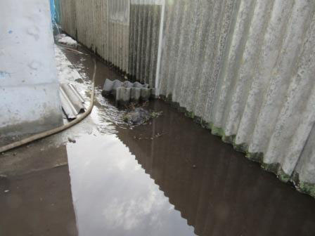 В Миргороде затопило дома (фото)