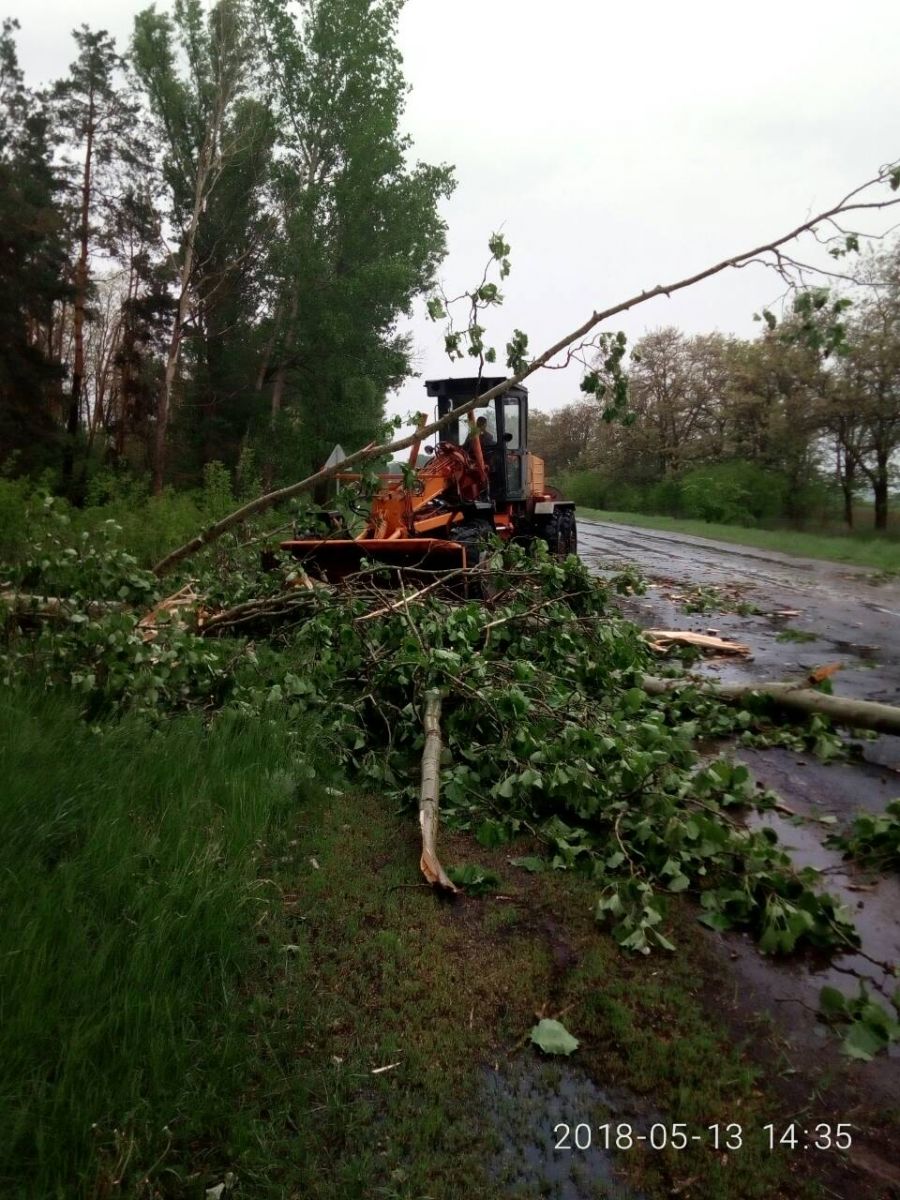 По области пронесся ураган, ломавший деревья (фото)