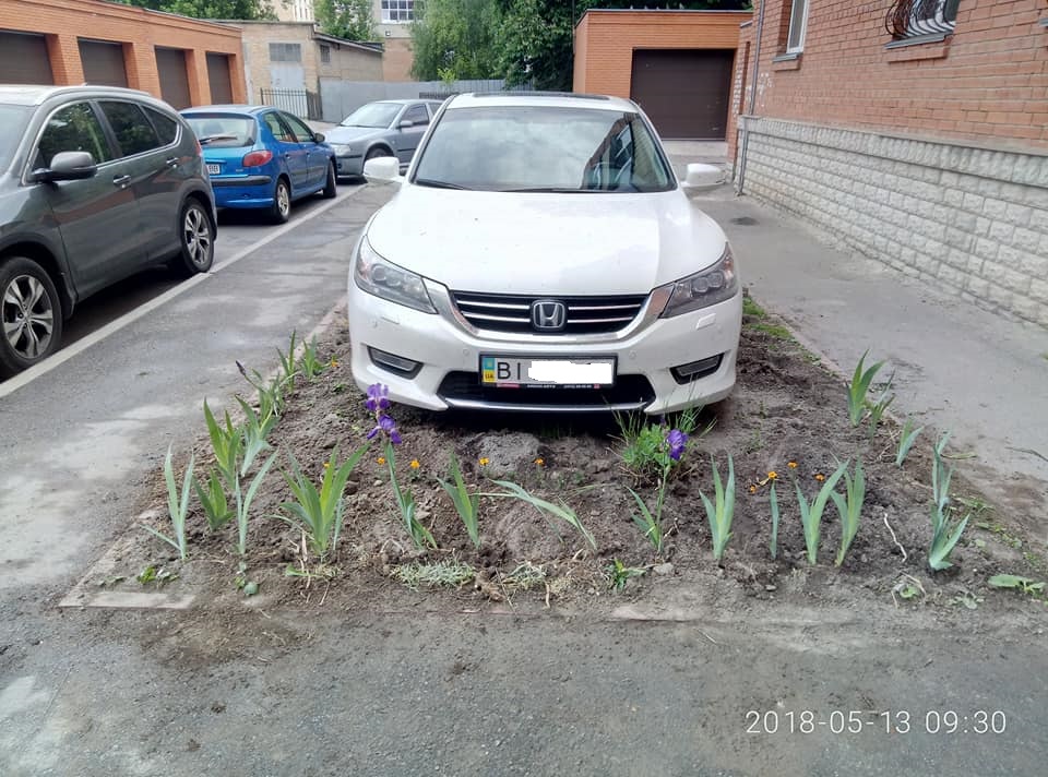 В Полтаве автомобили паркуются на газонах с цветами (фото)