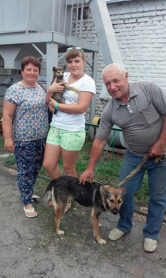 На Полтавщине собака больше года жила в пустом доме после смерти хозяйки
