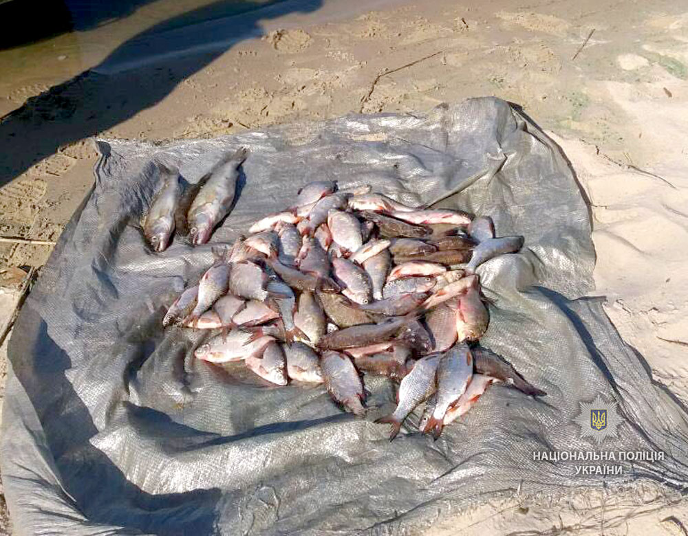 На Каменском водохранилище поймали рыбного браконьера (фото)