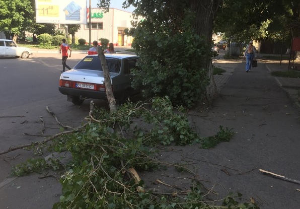 Под Полтавой на машину рухнуло дерево (фото)