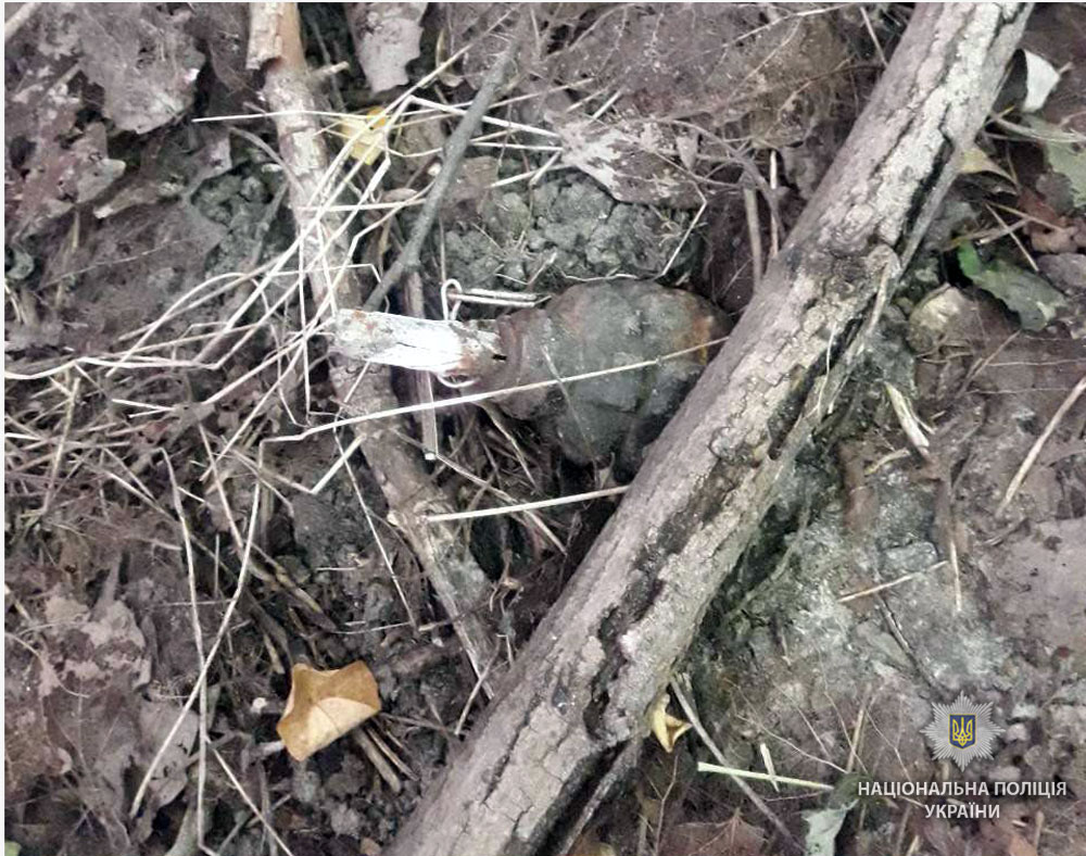 Около моста на Полтавщине нашли гранату (фото)