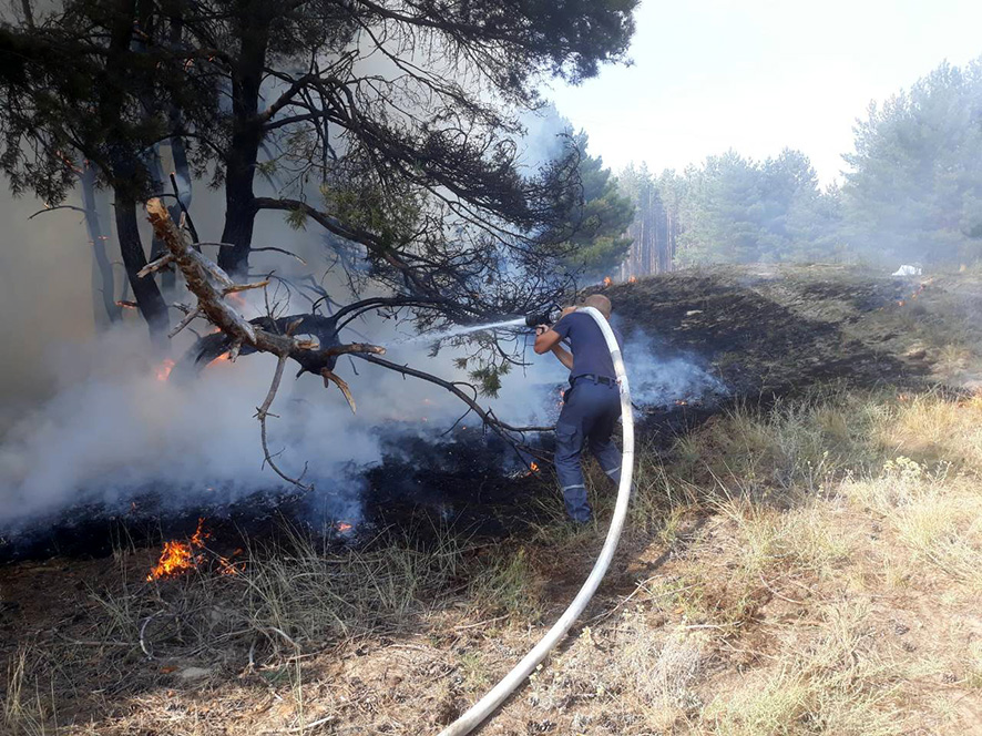 Лесной пожар на Полтавщине тушили пожарным поездом (фото)