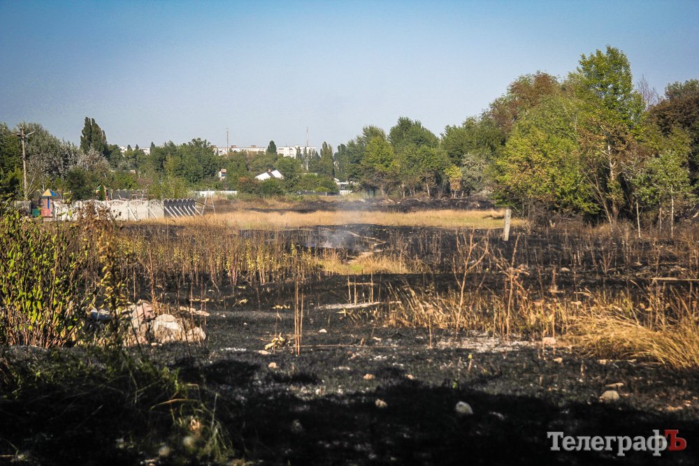 Пожары под Кременчугом подбираются к домам (фото)