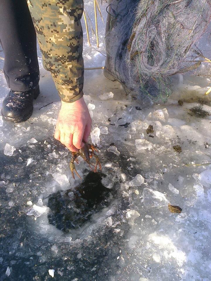 В полтавском ландшафтом парке обнаружили сети с рыбой и раком (фото)