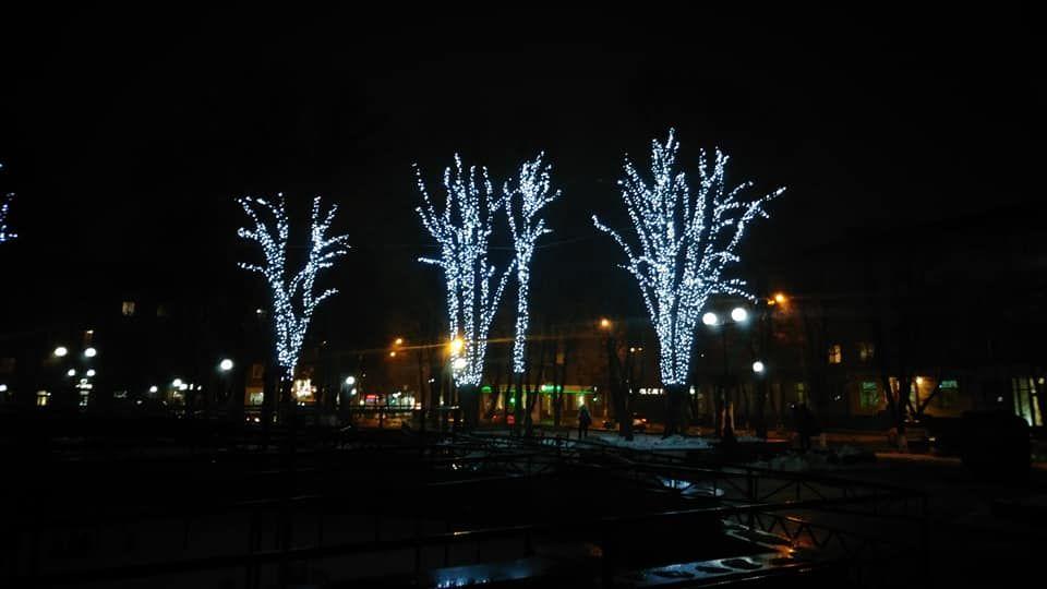 В Кременчуге засияли деревья (фото)
