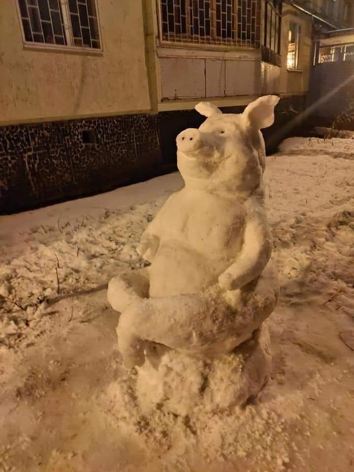 В Полтаве из снега слепили символ Нового года - свинку (фото)