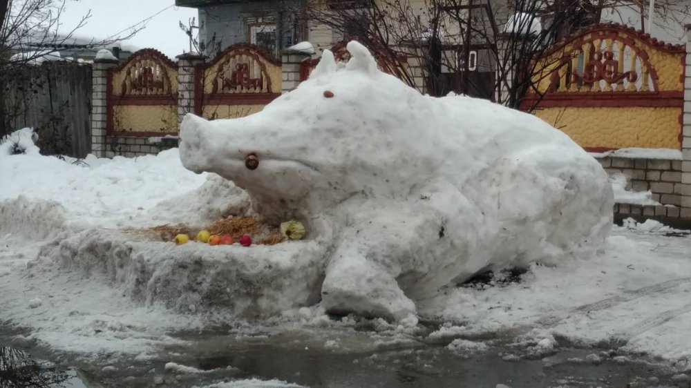 В Кременчуге слепили огромную снежную свинью (фото)