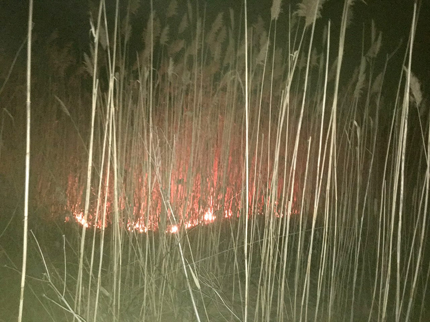 Под Кременчугом - пожары на открытой территории (фото)