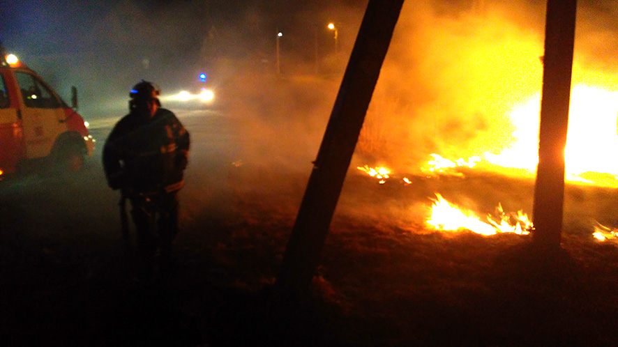 В Кременчуге - пожар на открытой местности (фото)