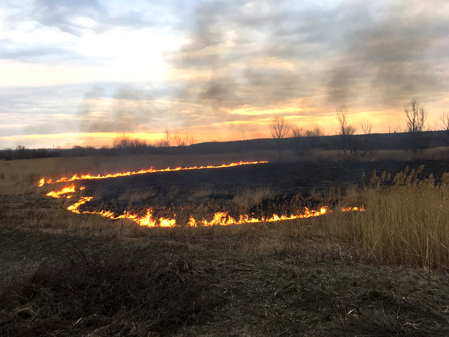 За сутки на Полтавщине - 8 пожаров сухой травы и камыша (фото)
