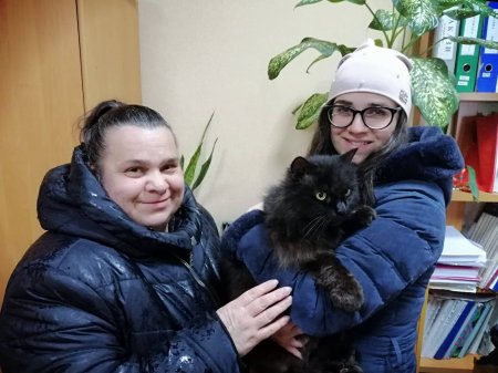 В Кременчуге нашли кота, пропавшего два года назад (фото)