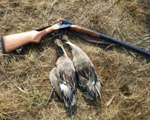 Под Полтавой орудовали браконьеры - застрелили диких уток