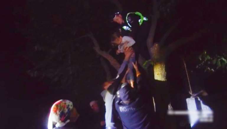 На Полтавщине нашли пропавшего 7-летнего ребенка на дереве