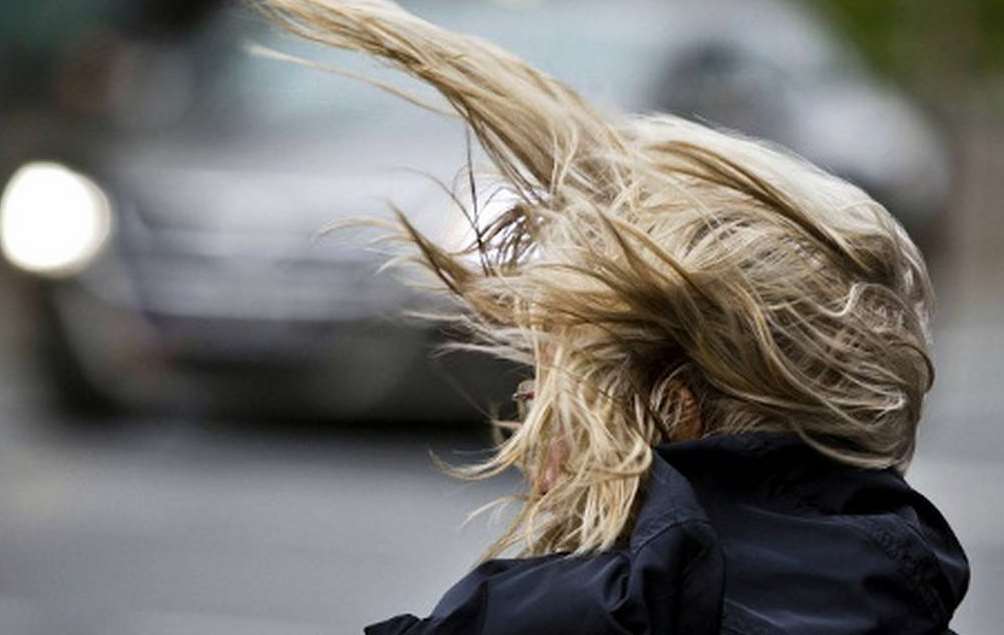 Полтавчан предупреждают о порывах сильного ветра
