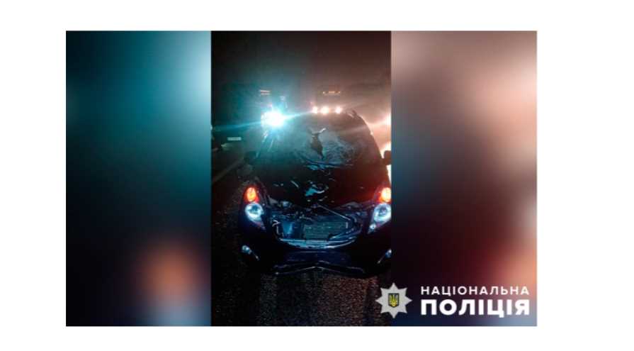 Поліція Полтави встановлює обставини ДТП, внаслідок якої загинув пішохід