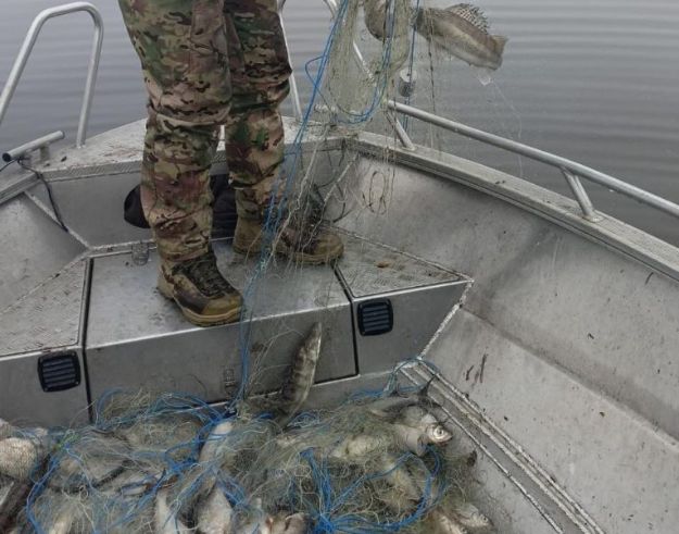 Браконьеры на Полтавщине выловили рыбы на 6 миллионов гривен