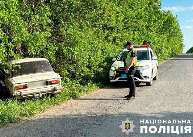 На Полтавщині п'яний водій врізався в дерево