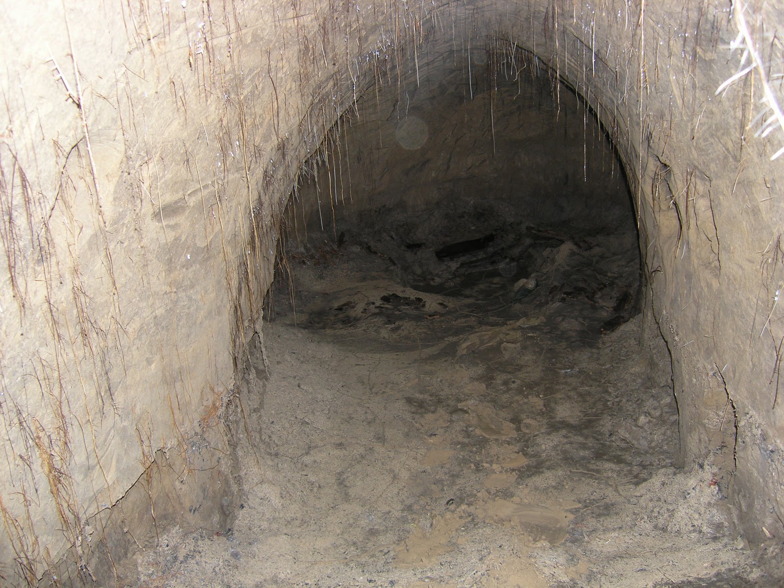 В подземельях под Опошней находят старинные изображения