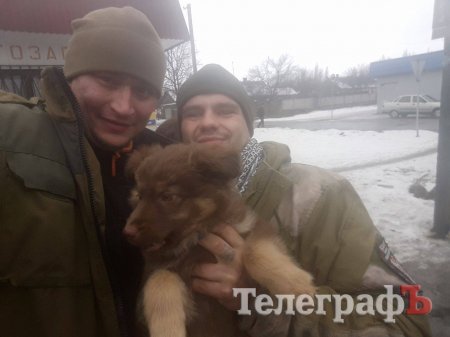 Щенок из Кременчуга помогает бойцам АТО (видео)