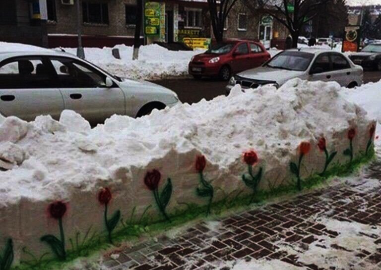 Полтавские художники нарисовали цветы на снегу (фото)
