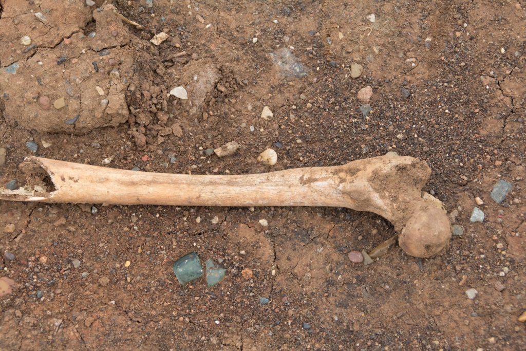 В центре Полтавы нашли старые человеческие останки 