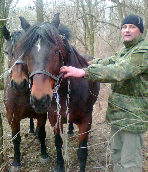 На Полтавщине украли коней (фото)