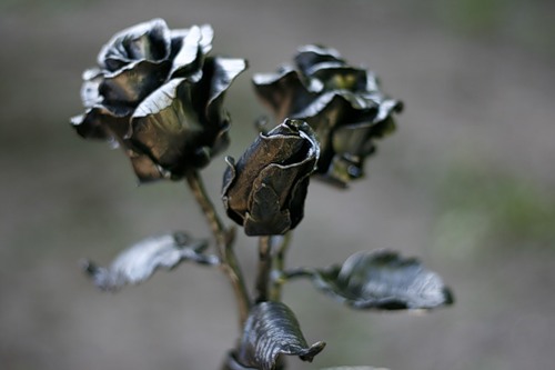 На Полтавщине выковали розы из железа (видео)
