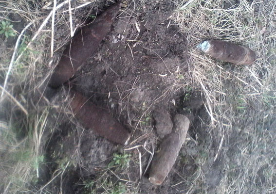 На Поле Полтавской битвы нашли снаряды (фото)