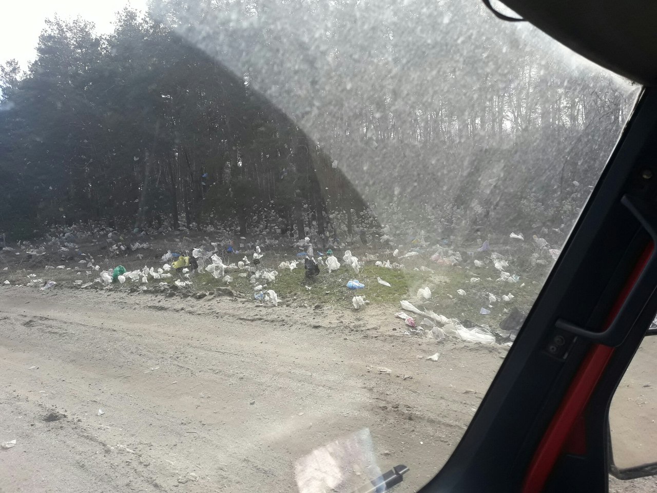 Ветер разбросал мусор с Макуховской свалки на лес (фото)
