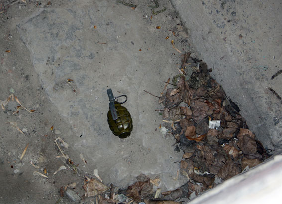 В Кременчуге дворник наткнулась на гранату (фото)