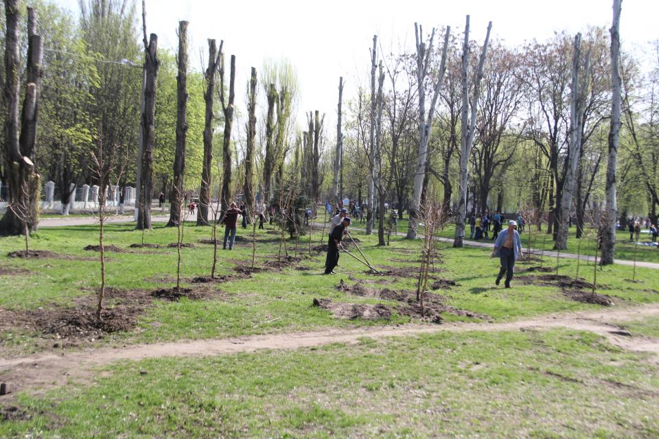 В ландшафтном парке на Полтавщине высадят сотни деревьев (фото)