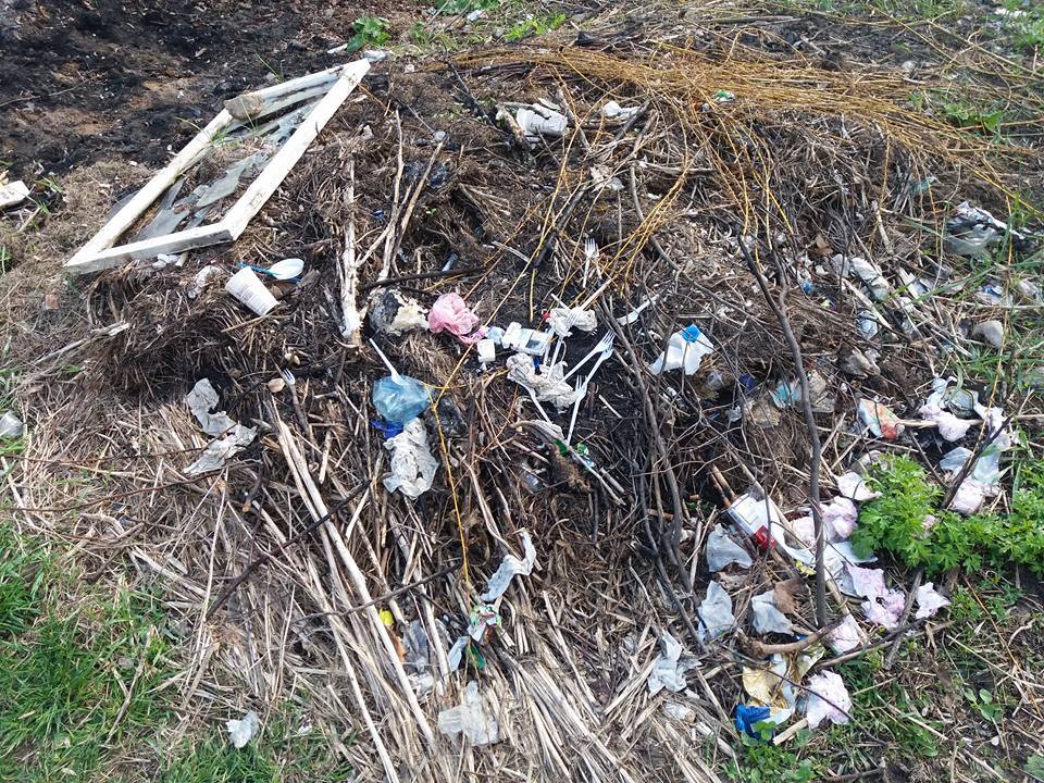 Догонит ли Полтава Львов по количеству мусора (фото)