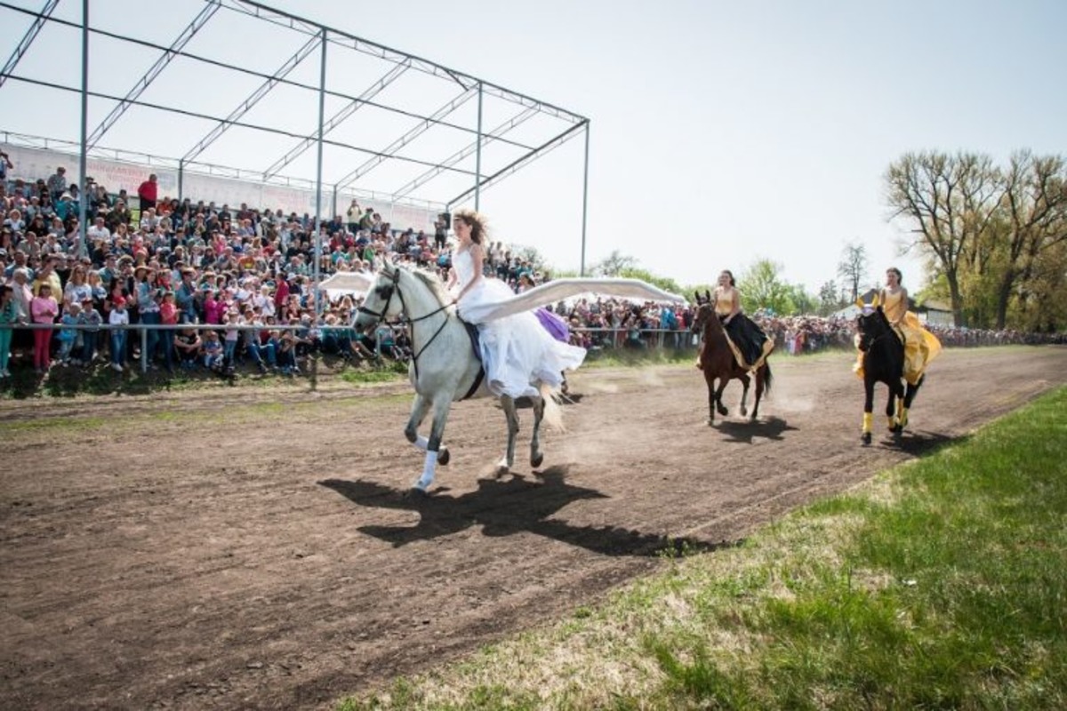 На Полтавщине прошло конное шоу и скачки (фото)