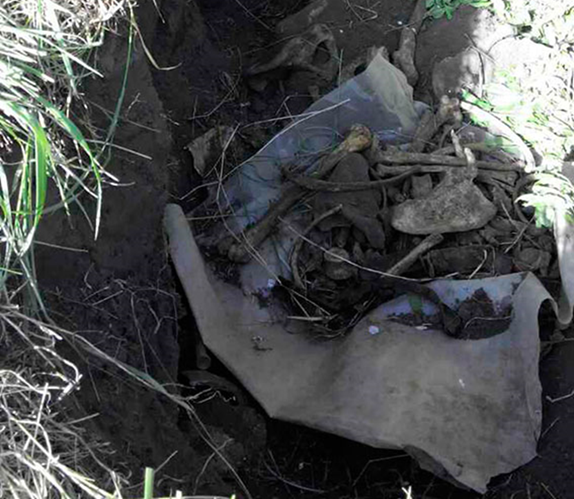 На Полтавщине обнаружили старые человеческие останки (фото)