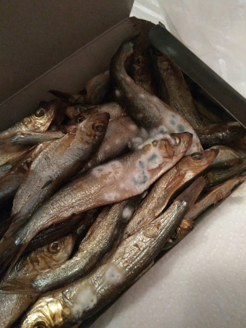 Полтавчанин купил в супермаркете рыбу с плесенью (фото)